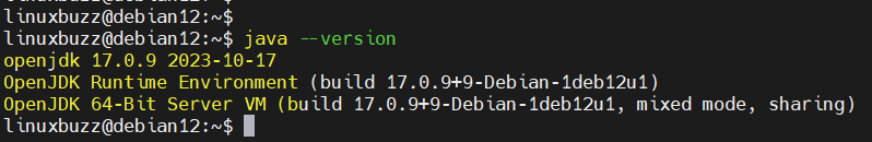 Проверить версию Java на Debian12