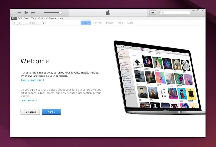 Установите iTunes в Ubuntu