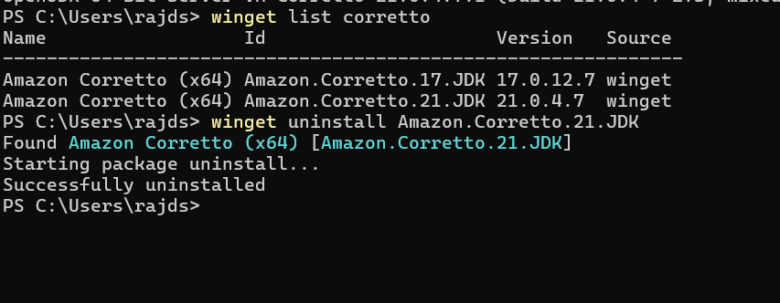 Удаление Corretto из Windows