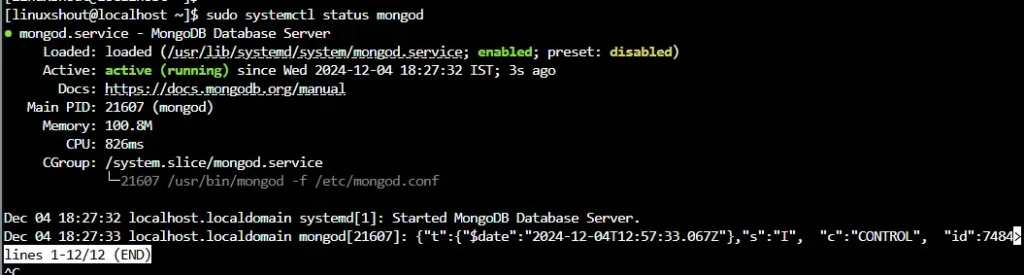 Запуск и включение MongoDB