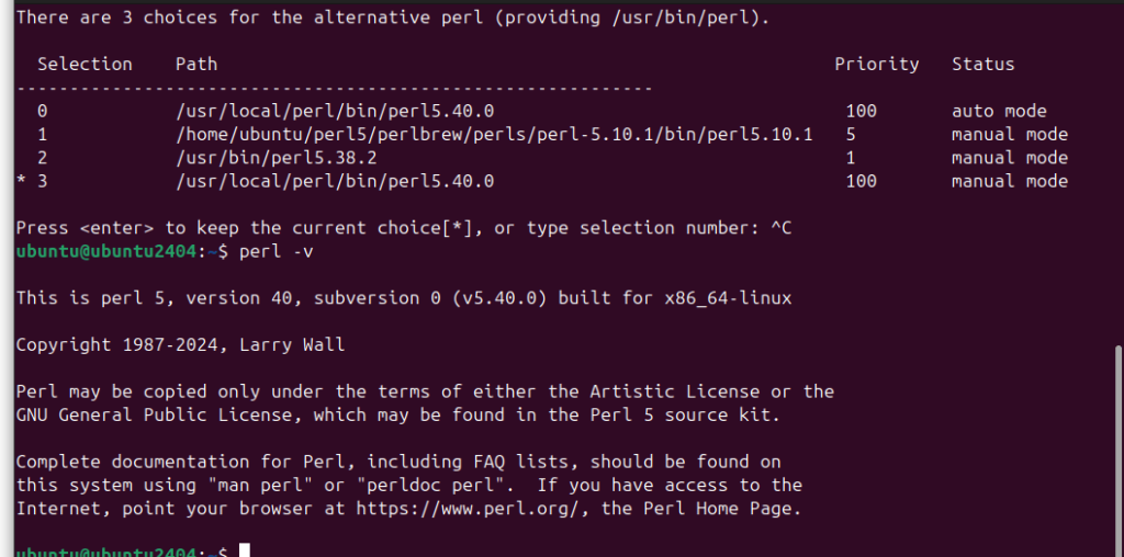 Установка версии Perl по умолчанию на Ubuntu 24.04