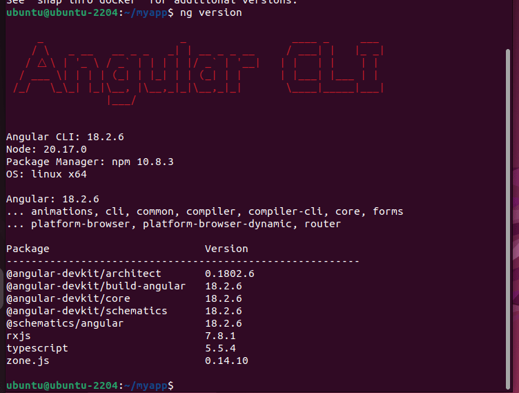 Проверка версии Angular в Ubuntu 24.04