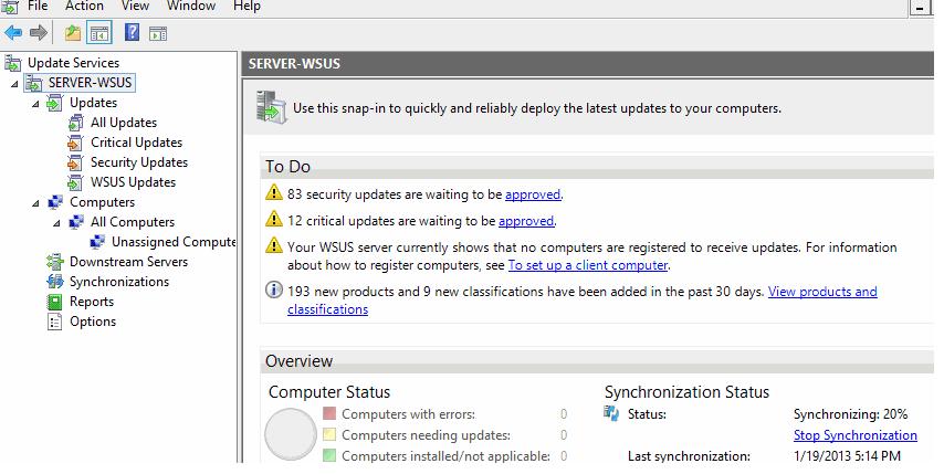 Учебное пособие: Установка и настройка WSUS на Windows Server 2022/2019 ...
