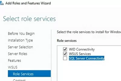 службы ролей wsus в windows server manager