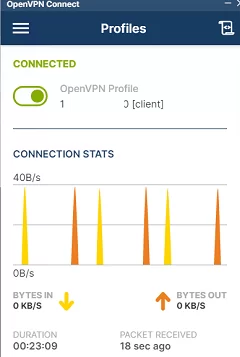 openvpn клиент успешно подключился к серверу