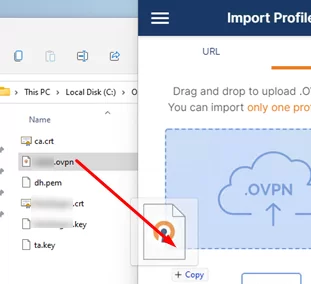 импорт файла *.ovpn config в OpenVPN Connect для Windows 