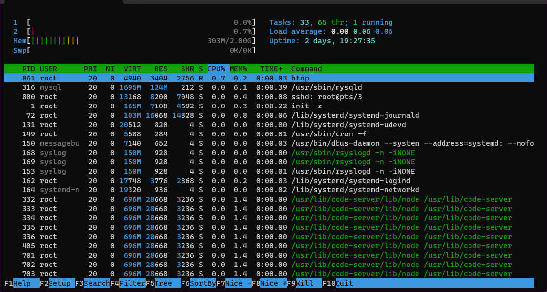 webhi monitor htop server