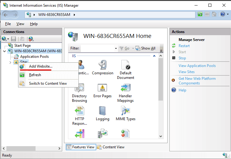 добавить сайт в windows IIS
