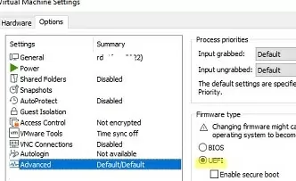 vmware vm uefi и bios тип прошивки 