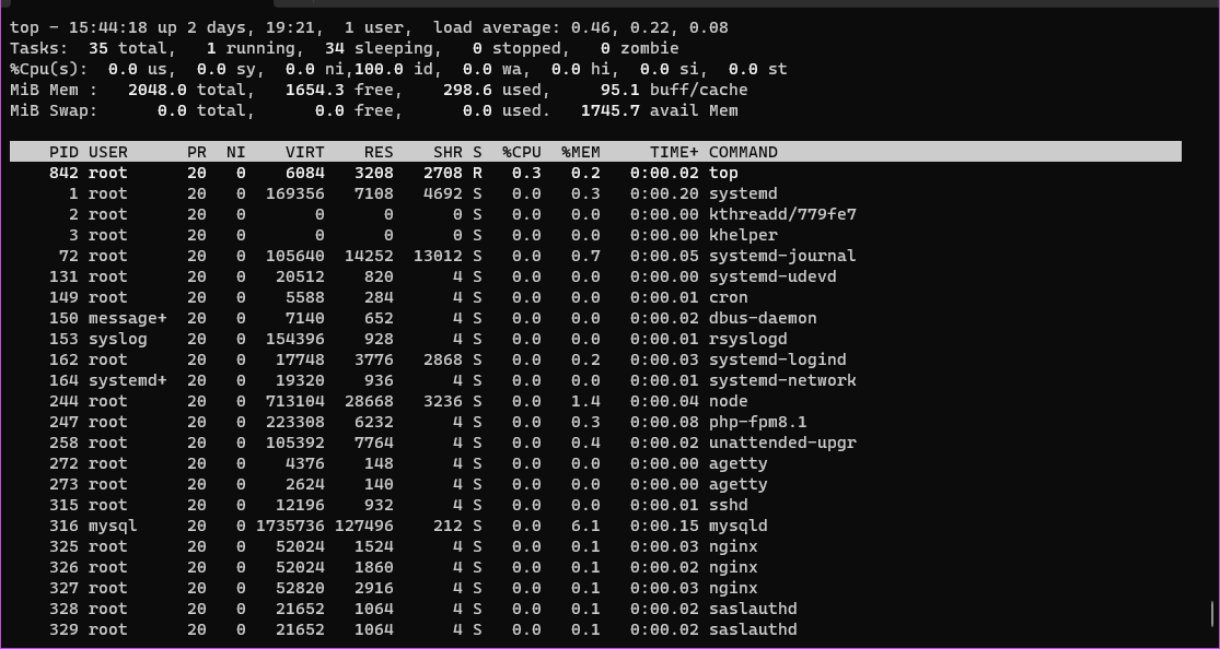 webhi monitor top server