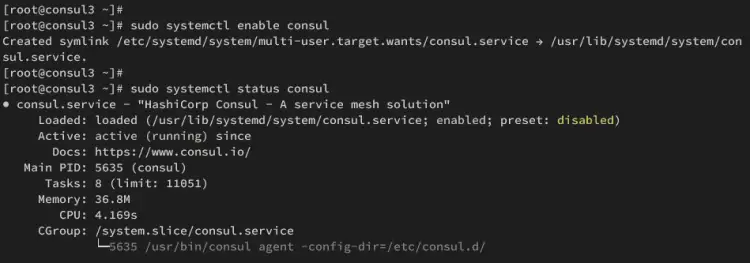 consul3 запущен