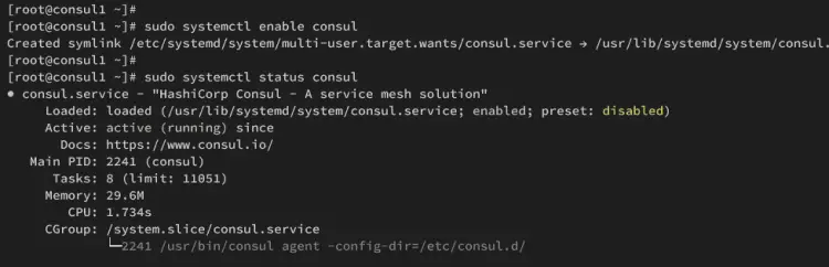 consul1 запущен