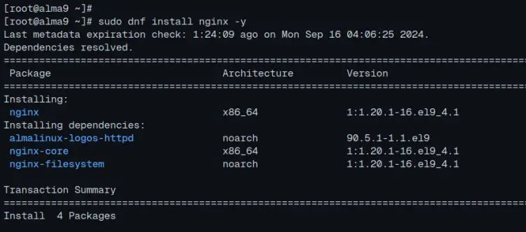 установить nginx