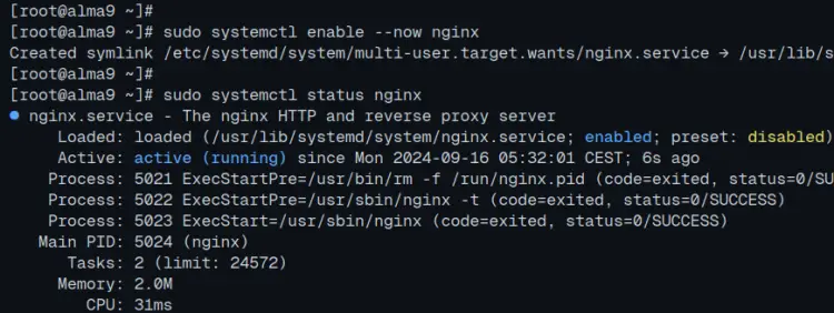 проверить nginx