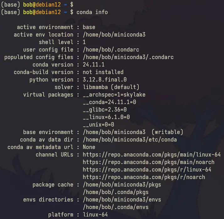 проверить информацию о conda