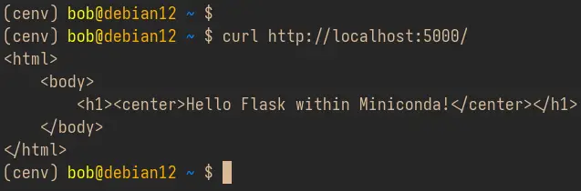 проверить приложение flask