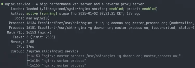 nginx запущен
