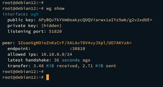 показать соединения wireguard