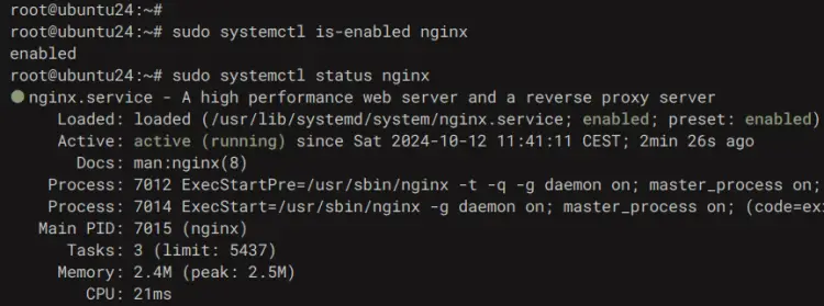 проверить nginx