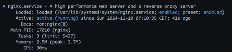 проверить nginx