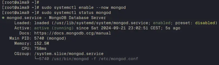запустить проверку mongodb