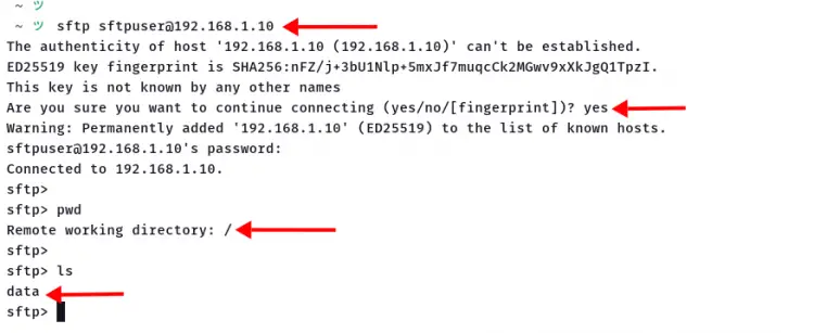 Подключение к sftpserver с помощью команды sftp