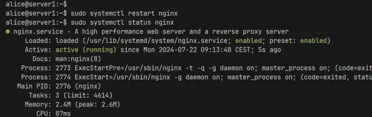 проверить nginx
