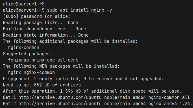 установить nginx