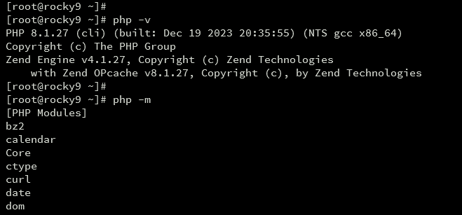 проверить php