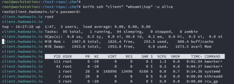 выполнение команды Linux через chef на клиенте