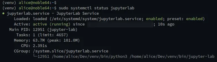 проверить статус jupyter
