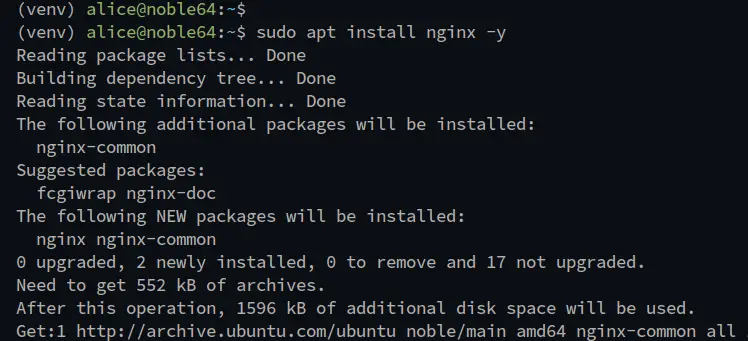 установить nginx