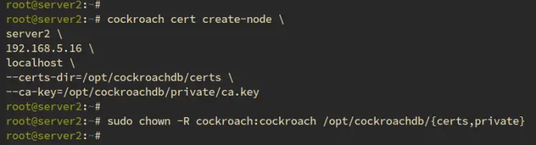 создать сертификат server2