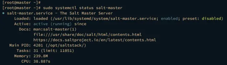 проверить salt-master
