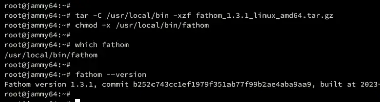 проверить версию fathom
