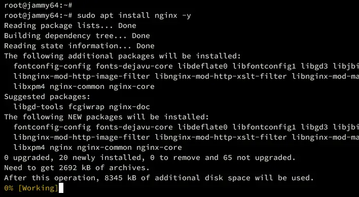 установить nginx