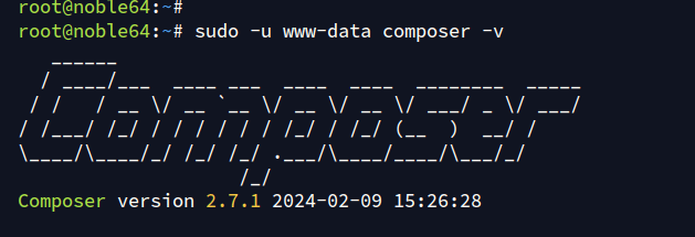 проверить composer