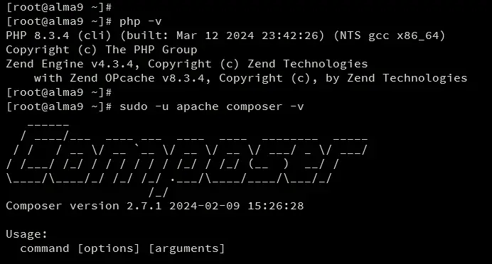 проверить php и composer