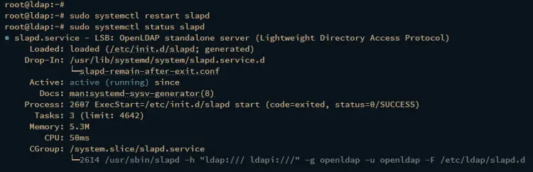 проверка службы openldap