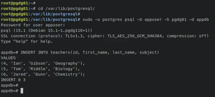 добавить данные pgdg1