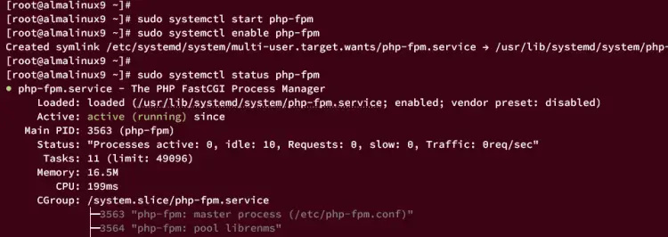 запустить проверку php-fpm