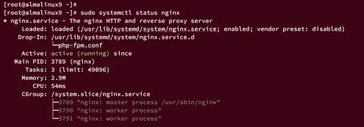 проверить nginx
