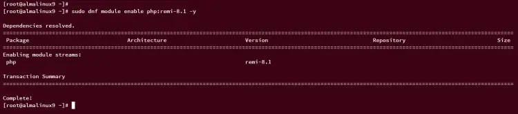 включить модуль php8.1 из репозитория Remi