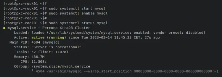 проверка службы mysql