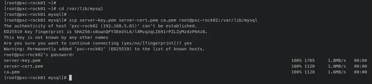 копирование сертификатов pxc-rock02