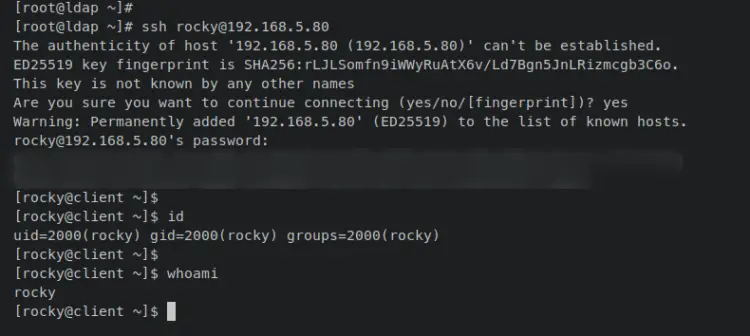 тестовый вход