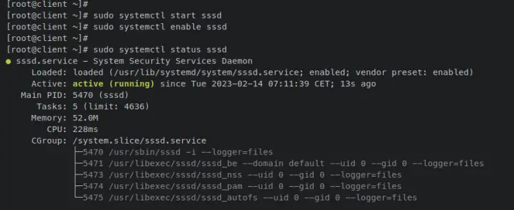 проверить sssd