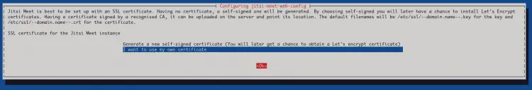 использование сертификата для jitsi