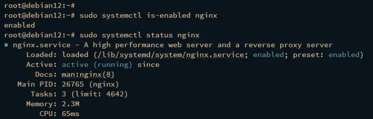 check nginx