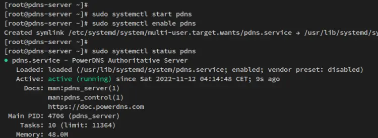 проверка службы pdns